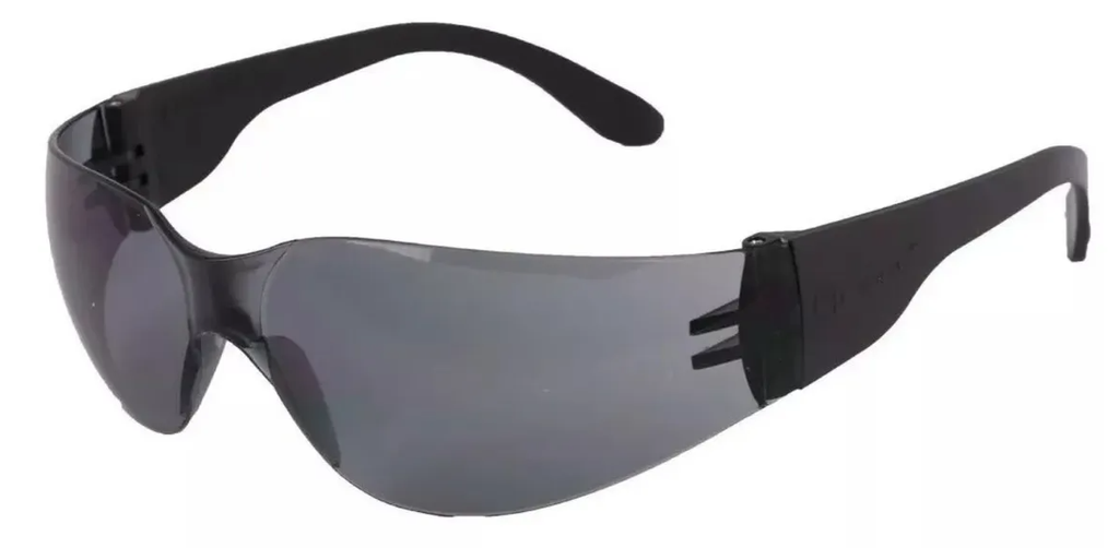 Anteojo de seguridad Libus Ecoline Gris 